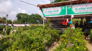 চট্টগ্রাম লালদীঘি মাঠে সবুজের সমারোহ, বৃক্ষমেলায় দেশি-বিদেশি চারা, তবে বিক্রি কম